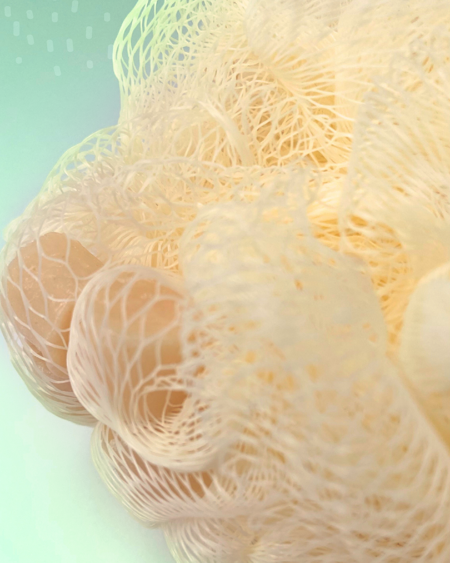 ESPONJABON EXFOLIANTE - AVENA